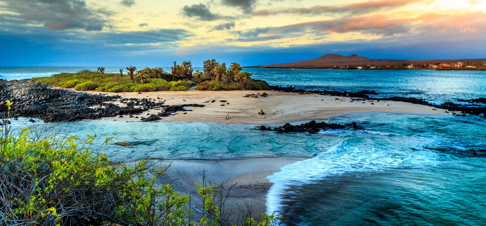 The Galápagos Islands