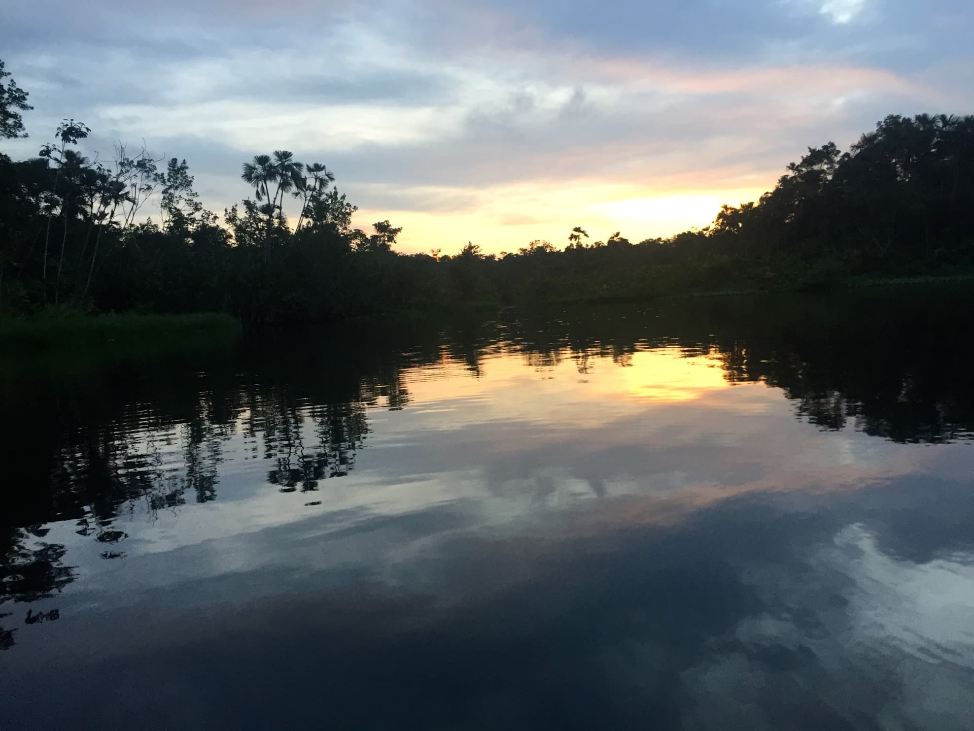 aventurecuador amazonie yasuni2 jpg