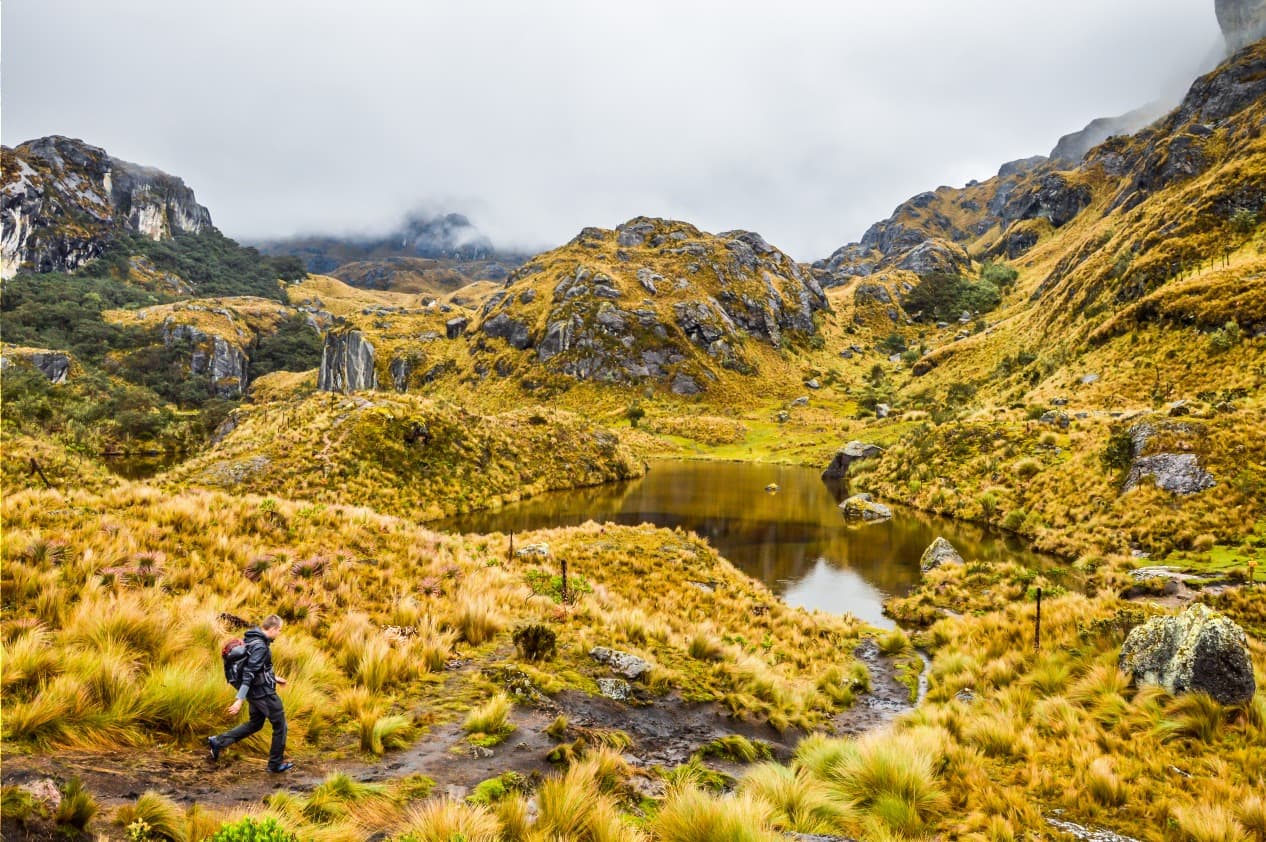 cajas national park ecuador